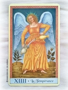 Le Tarot de Marseille de Emilie Porte et Jindra Čapek - Graine d'Eden Développement personnel, spiritualité, guidance, oracles et tarots divinatoires - La bibliothèque des Tarots