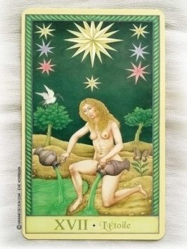 Le Tarot de Marseille de Emilie Porte et Jindra Čapek - Graine d'Eden Développement personnel, spiritualité, guidance, oracles et tarots divinatoires - La bibliothèque des Tarots