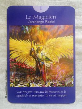 Le Tarot des Anges et Le Grand livre du Tarot des Anges de Doreen Virtue et Radleigh Valentine - Graine d'Eden Développement personnel, spiritualité, guidance, oracles et tarots divinatoires - La bibliothèque des Tarots