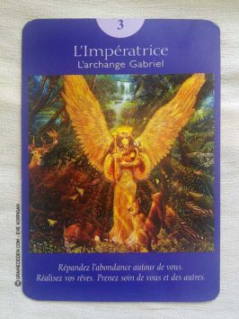 Le Tarot des Anges et Le Grand livre du Tarot des Anges de Doreen Virtue et Radleigh Valentine - Graine d'Eden Développement personnel, spiritualité, guidance, oracles et tarots divinatoires - La bibliothèque des Tarots