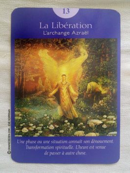 Le Tarot des Anges et Le Grand livre du Tarot des Anges de Doreen Virtue et Radleigh Valentine - Graine d'Eden Développement personnel, spiritualité, guidance, oracles et tarots divinatoires - La bibliothèque des Tarots