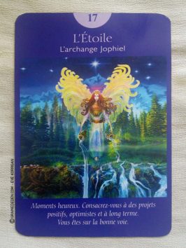 Le Tarot des Anges et Le Grand livre du Tarot des Anges de Doreen Virtue et Radleigh Valentine - Graine d'Eden Développement personnel, spiritualité, guidance, oracles et tarots divinatoires - La bibliothèque des Tarots