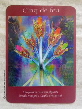 Le Tarot des Anges et Le Grand livre du Tarot des Anges de Doreen Virtue et Radleigh Valentine - Graine d'Eden Développement personnel, spiritualité, guidance, oracles et tarots divinatoires - La bibliothèque des Tarots