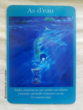 Le Tarot des Anges et Le Grand livre du Tarot des Anges de Doreen Virtue et Radleigh Valentine - Graine d'Eden Développement personnel, spiritualité, guidance, oracles et tarots divinatoires - La bibliothèque des Tarots