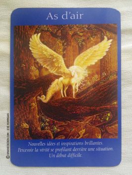 Le Tarot des Anges et Le Grand livre du Tarot des Anges de Doreen Virtue et Radleigh Valentine - Graine d'Eden Développement personnel, spiritualité, guidance, oracles et tarots divinatoires - La bibliothèque des Tarots