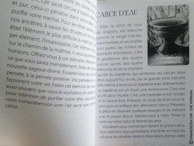 Graine d'Eden Tarots et Oracles divinatoires - Présentation avis et reviews de tarots et oracles divinatoires