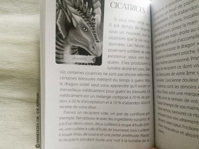 Les cartes Oracle La Sagesse des Dragons de Christine Arana Fader - Graine d'Eden Tarots et Oracles divinatoires - Présentation avis et reviews de tarots et oracles divinatoires