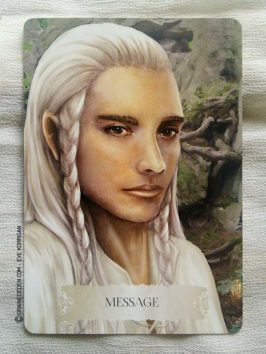 Les cartes Oracle La Sagesse des Dragons de Christine Arana Fader - Graine d'Eden Tarots et Oracles divinatoires - Présentation avis et reviews de tarots et oracles divinatoires