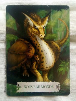 Les cartes Oracle La Sagesse des Dragons de Christine Arana Fader - Graine d'Eden Tarots et Oracles divinatoires - Présentation avis et reviews de tarots et oracles divinatoires