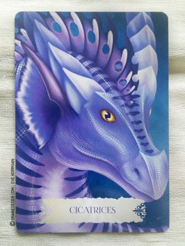 Les cartes Oracle La Sagesse des Dragons de Christine Arana Fader - Graine d'Eden Tarots et Oracles divinatoires - Présentation avis et reviews de tarots et oracles divinatoires