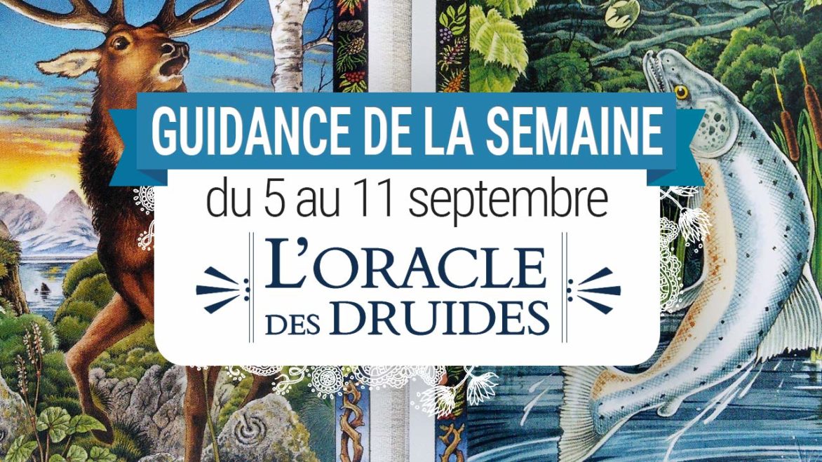 5 au 11 septembre - Votre guidance de la semaine avec l'Oracle des Druides de Philip et Stephanie Carr-Gomm - Graine d'Eden Tarots et Oracles divinatoires