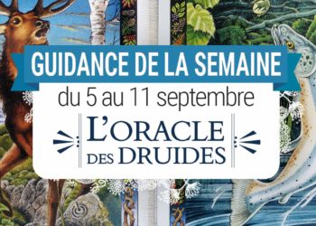 5 au 11 septembre - Votre guidance de la semaine avec l'Oracle des Druides de Philip et Stephanie Carr-Gomm - Graine d'Eden Tarots et Oracles divinatoires