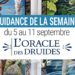 5 au 11 septembre - Votre guidance de la semaine avec l'Oracle des Druides de Philip et Stephanie Carr-Gomm - Graine d'Eden Tarots et Oracles divinatoires