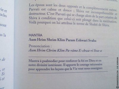 L'Oracle de l'Inde Éternelle de Gabriel Kishan - Graine d'Eden Tarots et Oracles divinatoires - Présentation et reviews