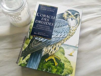 L'Oracle des Druides de Philip et Stephanie Carr-Gomm - Graine d'Eden Tarots et Oracles divinatoires - Présentation et reviews