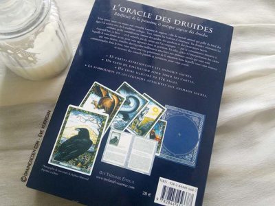 L'Oracle des Druides de Philip et Stephanie Carr-Gomm - Graine d'Eden Tarots et Oracles divinatoires - Présentation et reviews