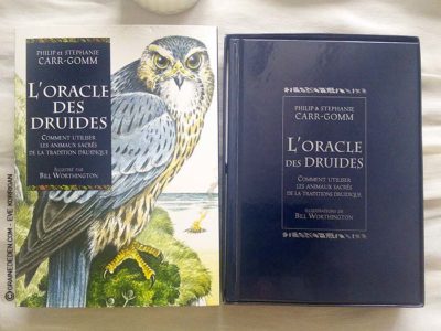 L'Oracle des Druides de Philip et Stephanie Carr-Gomm - Graine d'Eden Tarots et Oracles divinatoires - Présentation et reviews