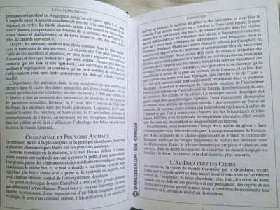 Graine d'Eden Tarots et Oracles divinatoires - Présentation et reviews