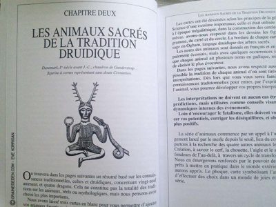 Graine d'Eden Tarots et Oracles divinatoires - Présentation et reviews