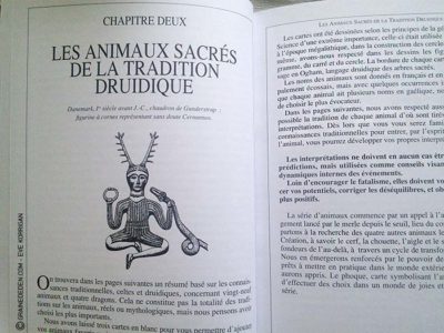 Graine d'Eden Tarots et Oracles divinatoires - Présentation et reviews
