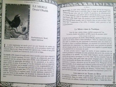 Graine d'Eden Tarots et Oracles divinatoires - Présentation et reviews