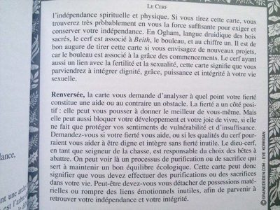 Graine d'Eden Tarots et Oracles divinatoires - Présentation et reviews