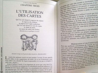 L'Oracle des Druides de Philip et Stephanie Carr-Gomm - Graine d'Eden Tarots et Oracles divinatoires - Présentation et reviews