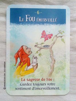 Les cartes Oracles La Sagesse du Fou de Sonia Choquette - Graine d'Eden Tarots et Oracles divinatoires - Présentation et reviews