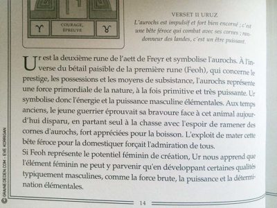 Le Tarot Runique de Caroline Smith et John Astrop - Graine d'Eden Tarots et Oracles divinatoires - Présentation et reviews