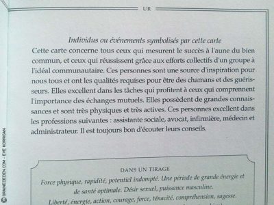 Le Tarot Runique de Caroline Smith et John Astrop - Graine d'Eden Tarots et Oracles divinatoires - Présentation et reviews