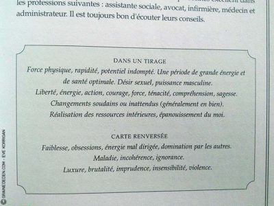 Le Tarot Runique de Caroline Smith et John Astrop - Graine d'Eden Tarots et Oracles divinatoires - Présentation et reviews