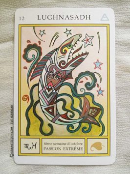 Le Tarot Runique de Caroline Smith et John Astrop - Graine d'Eden Tarots et Oracles divinatoires - Présentation et reviews