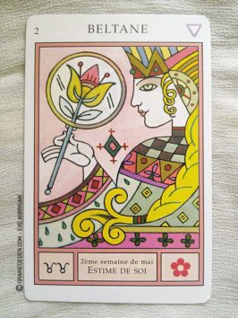 Le Tarot Runique de Caroline Smith et John Astrop - Graine d'Eden Tarots et Oracles divinatoires - Présentation et reviews