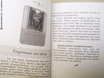 Le Tarot des Anges Gardiens de Doreen Virtue et Radleigh Valentine - Graine d'Eden Développement personnel, spiritualité, tarots et oracles divinatoires, Bibliothèques des Tarots, avis, présentation, review.