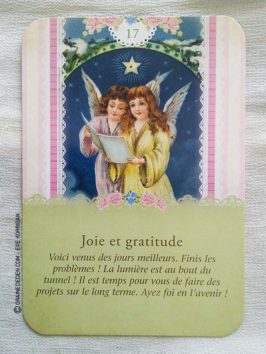 Le Tarot des Anges Gardiens de Doreen Virtue et Radleigh Valentine - Graine d'Eden Développement personnel, spiritualité, tarots et oracles divinatoires, Bibliothèques des Tarots, avis, présentation, review.