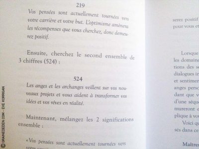 Review du livre Les Nombres des Anges 101 de Doreen Virtue - Graine d'Eden Développement personnel, spiritualité, guidance, livres, oracles et tarots divinatoires - Avis et présentations