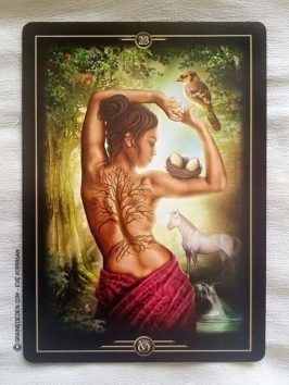 Oracle of Visions de Ciro Marchetti - Graine d'Eden Tarots et Oracles divinatoires - Présentation et reviews