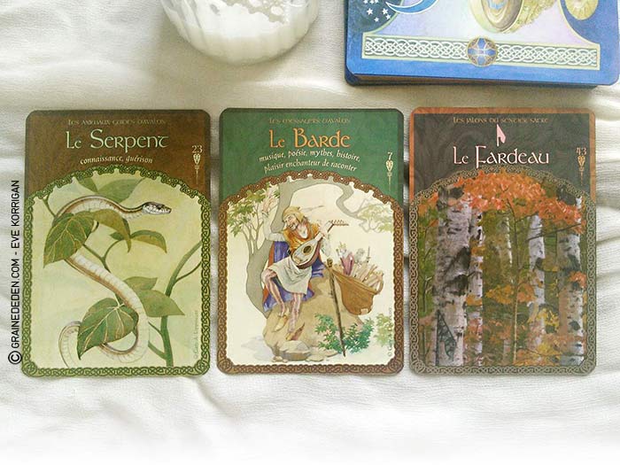 La sagesse d'Avalon Cartes-Oracle-La-Sagesse-d-Avalon-de-Colette-Baron-Reid-06