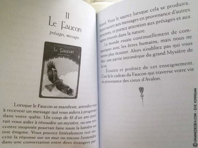 Les Cartes Oracle La Sagesse d'Avalon de Colette Baron-Reid - Graine d'Eden Développement personnel, spiritualité, tarots et oracles divinatoires, Bibliothèques des Oracles, avis, présentation, review