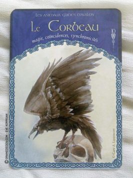 Les Cartes Oracle La Sagesse d'Avalon de Colette Baron-Reid - Graine d'Eden Développement personnel, spiritualité, tarots et oracles divinatoires, Bibliothèques des Oracles, avis, présentation, review