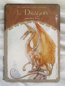 Les Cartes Oracle La Sagesse d'Avalon de Colette Baron-Reid - Graine d'Eden Développement personnel, spiritualité, tarots et oracles divinatoires, Bibliothèques des Oracles, avis, présentation, review