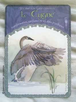 Les Cartes Oracle La Sagesse d'Avalon de Colette Baron-Reid - Graine d'Eden Développement personnel, spiritualité, tarots et oracles divinatoires, Bibliothèques des Oracles, avis, présentation, review