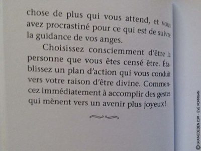 Graine d'Eden Développement personnel, spiritualité, tarots et oracles divinatoires, Bibliothèques des Oracles, avis, présentation, review