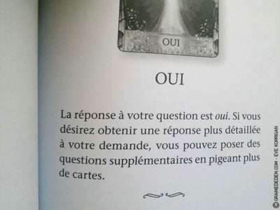 Graine d'Eden Développement personnel, spiritualité, tarots et oracles divinatoires, Bibliothèques des Oracles, avis, présentation, review