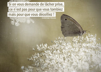 Si on vous demande de lâcher prise, ce n'est pas pour que vous tombiez mais pour que vous décolliez ! CHRISTINE PICHON - Graine d'Eden Citation