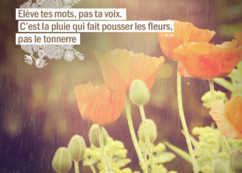 Élève tes mots, pas ta voix. C'est la pluie qui fait pousser les fleurs, pas le tonnerre. RUMI - Graine d'Eden Citation