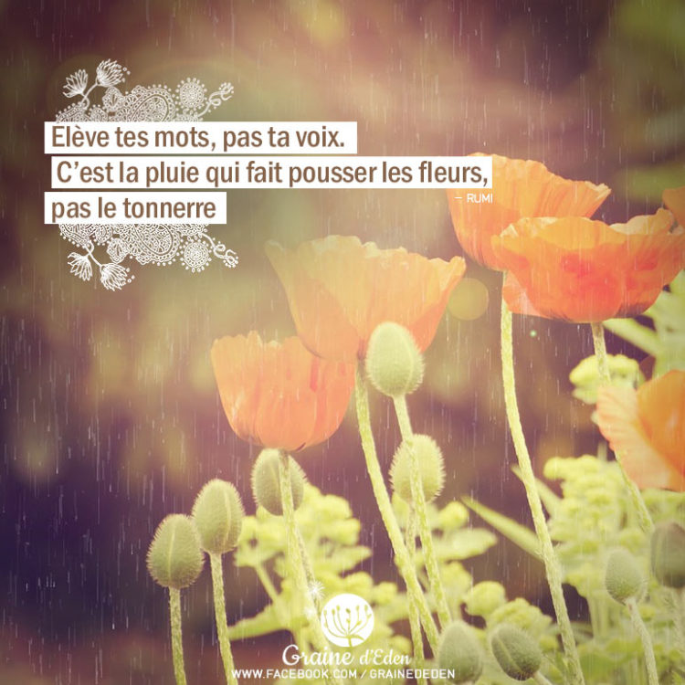 Élève tes mots, pas ta voix. C'est la pluie qui fait pousser les fleurs, pas le tonnerre. RUMI - Graine d'Eden Citation