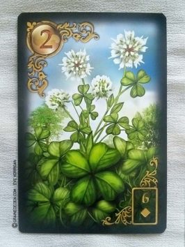 Gilded Reverie Lenormand de Ciro Marchetti - Graine d'Eden Développement personnel, spiritualité, tarots et oracles divinatoires, Bibliothèques des Oracles, avis, présentation, review