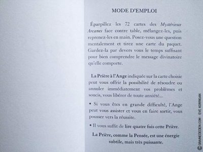 Les cartes des Anges de Haziel - Graine d'Eden Développement personnel, spiritualité, tarots et oracles divinatoires, Bibliothèques des Oracles, avis, présentation, review
