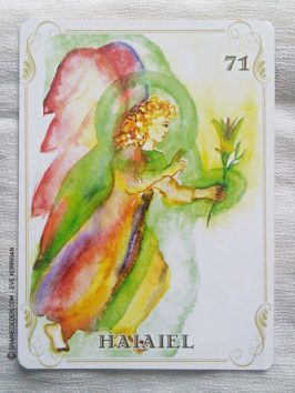 Les cartes des Anges de Haziel - Graine d'Eden Développement personnel, spiritualité, tarots et oracles divinatoires, Bibliothèques des Oracles, avis, présentation, review